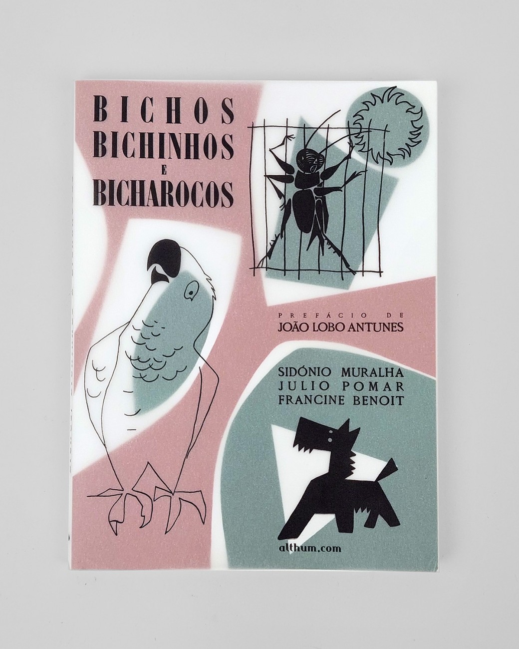 Bichos, bichinhos  e bicharocos